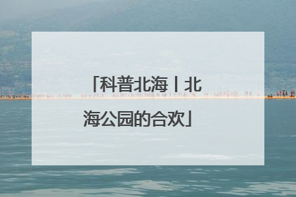 科普北海丨北海公园的合欢
