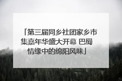 第三届同乡社团家乡市集嘉年华盛大开幕 巴蜀情缘中的绵阳风味