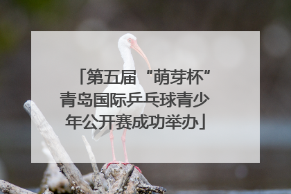 第五届“萌芽杯”青岛国际乒乓球青少年公开赛成功举办