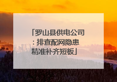 罗山县供电公司：排查配网隐患 精准补齐短板