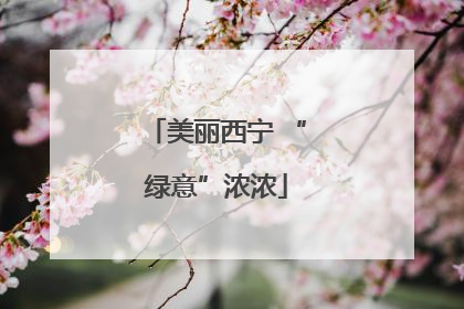美丽西宁 “绿意”浓浓