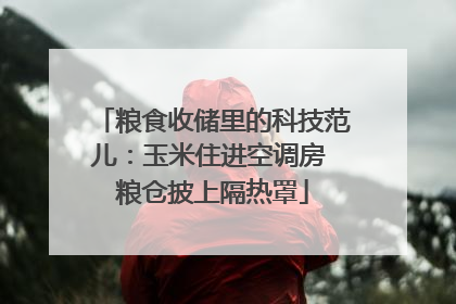 粮食收储里的科技范儿：玉米住进空调房 粮仓披上隔热罩
