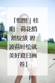 组图｜桂阳：荷花悄然绽放 碧波荷叶绘就美好夏日画卷