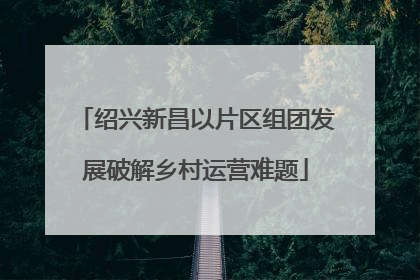 绍兴新昌以片区组团发展破解乡村运营难题