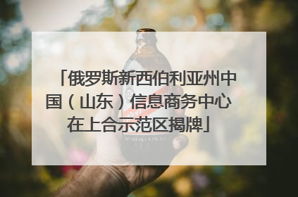 俄罗斯新西伯利亚州中国（山东）信息商务中心在上合示范区揭牌