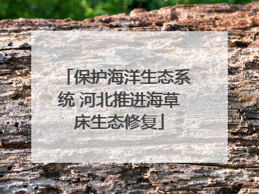 保护海洋生态系统 河北推进海草床生态修复