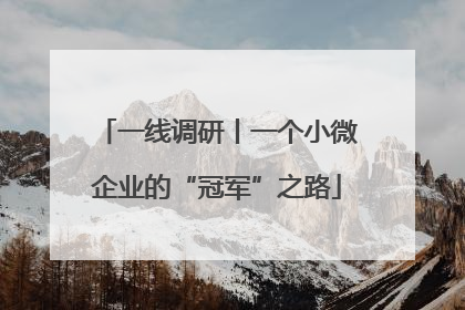 一线调研丨一个小微企业的“冠军”之路