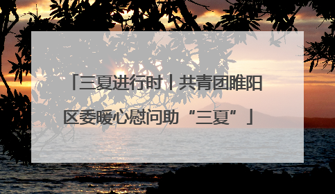 三夏进行时丨共青团睢阳区委暖心慰问助“三夏”