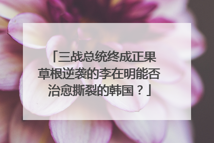 三战总统终成正果 草根逆袭的李在明能否治愈撕裂的韩国？