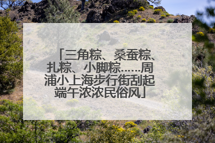 三角粽、桑蚕粽、扎粽、小脚粽……周浦小上海步行街刮起端午浓浓民俗风