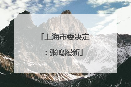 上海市委决定：张鸣履新