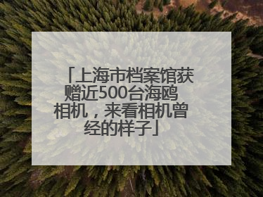上海市档案馆获赠近500台海鸥相机，来看相机曾经的样子