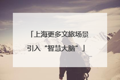 上海更多文旅场景引入“智慧大脑”