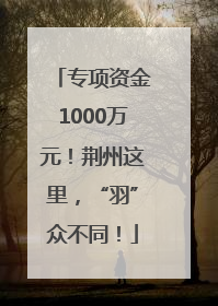 专项资金1000万元！荆州这里，“羽”众不同！