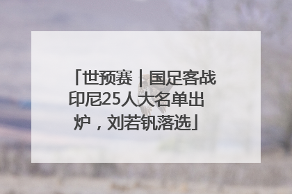世预赛｜国足客战印尼25人大名单出炉，刘若钒落选