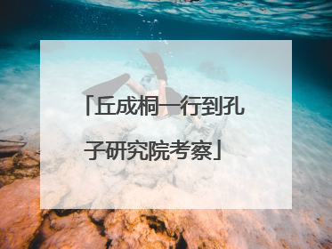 丘成桐一行到孔子研究院考察