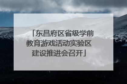东昌府区省级学前教育游戏活动实验区建设推进会召开