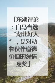 东湖评论：白马当选“湖北好人”，是对动物伙伴道德价值的深情褒奖