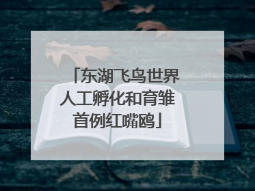 东湖飞鸟世界人工孵化和育雏首例红嘴鸥