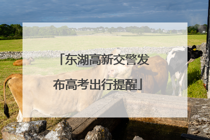 东湖高新交警发布高考出行提醒