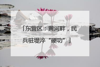 东营区：黄河畔，民兵驻堤淬“硬功”