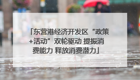东营港经济开发区“政策+活动”双轮驱动 提振消费能力 释放消费潜力