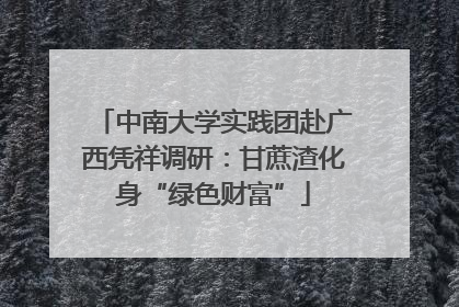 中南大学实践团赴广西凭祥调研：甘蔗渣化身“绿色财富”