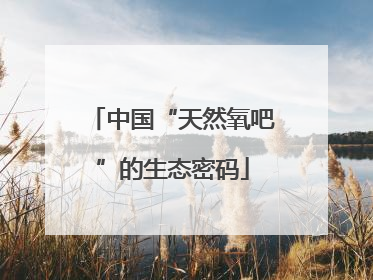 中国“天然氧吧”的生态密码