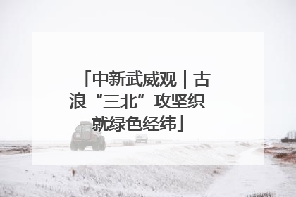 中新武威观｜古浪“三北”攻坚织就绿色经纬