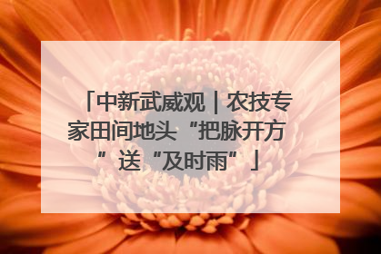 中新武威观｜农技专家田间地头“把脉开方”送“及时雨”