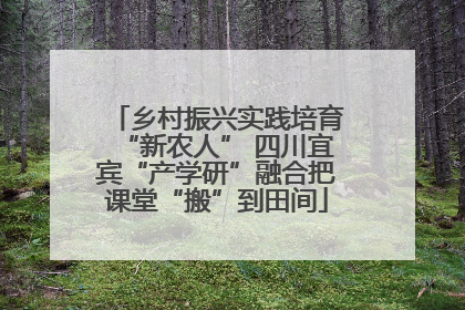 乡村振兴实践培育“新农人” 四川宜宾“产学研”融合把课堂“搬”到田间