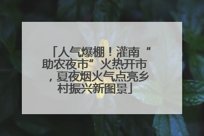 人气爆棚！灌南“助农夜市”火热开市，夏夜烟火气点亮乡村振兴新图景