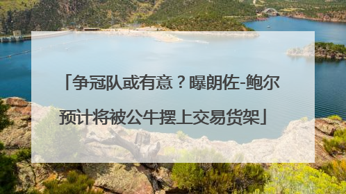 争冠队或有意？曝朗佐-鲍尔预计将被公牛摆上交易货架