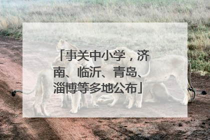 事关中小学，济南、临沂、青岛、淄博等多地公布