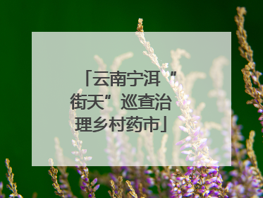 云南宁洱“街天”巡查治理乡村药市