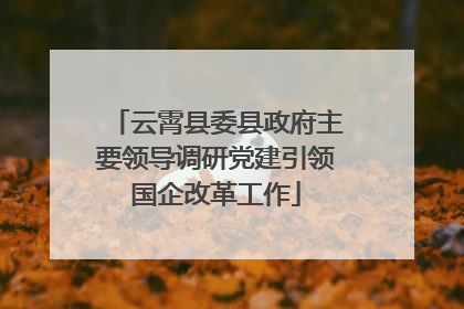 云霄县委县政府主要领导调研党建引领国企改革工作