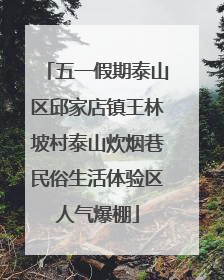 五一假期泰山区邱家店镇王林坡村泰山炊烟巷民俗生活体验区人气爆棚