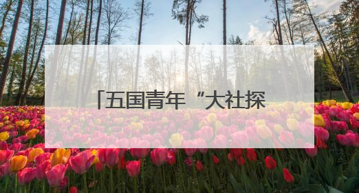 五国青年“大社探秘”：红砖古厝里解码华侨爱国DNA