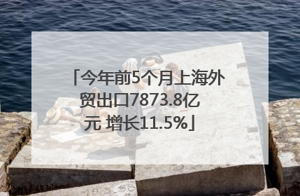 今年前5个月上海外贸出口7873.8亿元 增长11.5%