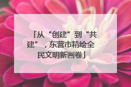 从“创建”到“共建”，东营市精绘全民文明新画卷