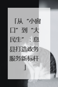 从“小窗口”到“大民生”：息县打造政务服务新标杆