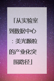 从实验室到数据中心：美光颗粒的产业化突围路径