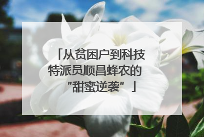 从贫困户到科技特派员顺昌蜂农的“甜蜜逆袭”