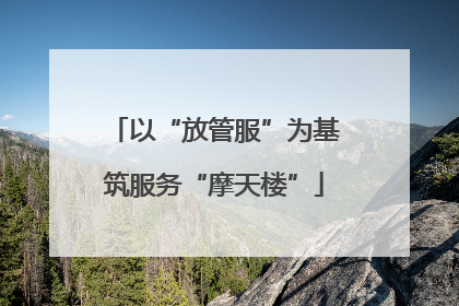 以“放管服”为基筑服务“摩天楼”
