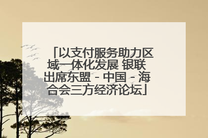 以支付服务助力区域一体化发展 银联出席东盟－中国－海合会三方经济论坛
