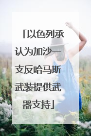 以色列承认为加沙一支反哈马斯武装提供武器支持