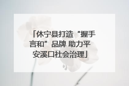 休宁县打造“握手言和”品牌 助力平安溪口社会治理