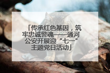 传承红色基因，筑牢忠诚警魂——通河公安开展迎“七一”主题党日活动