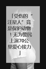 受伤的“汪星人”竟是保护动物！无为警民上演70公里爱心接力