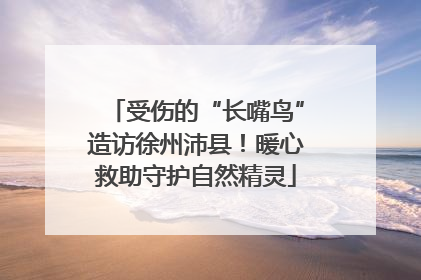 受伤的“长嘴鸟”造访徐州沛县！暖心救助守护自然精灵